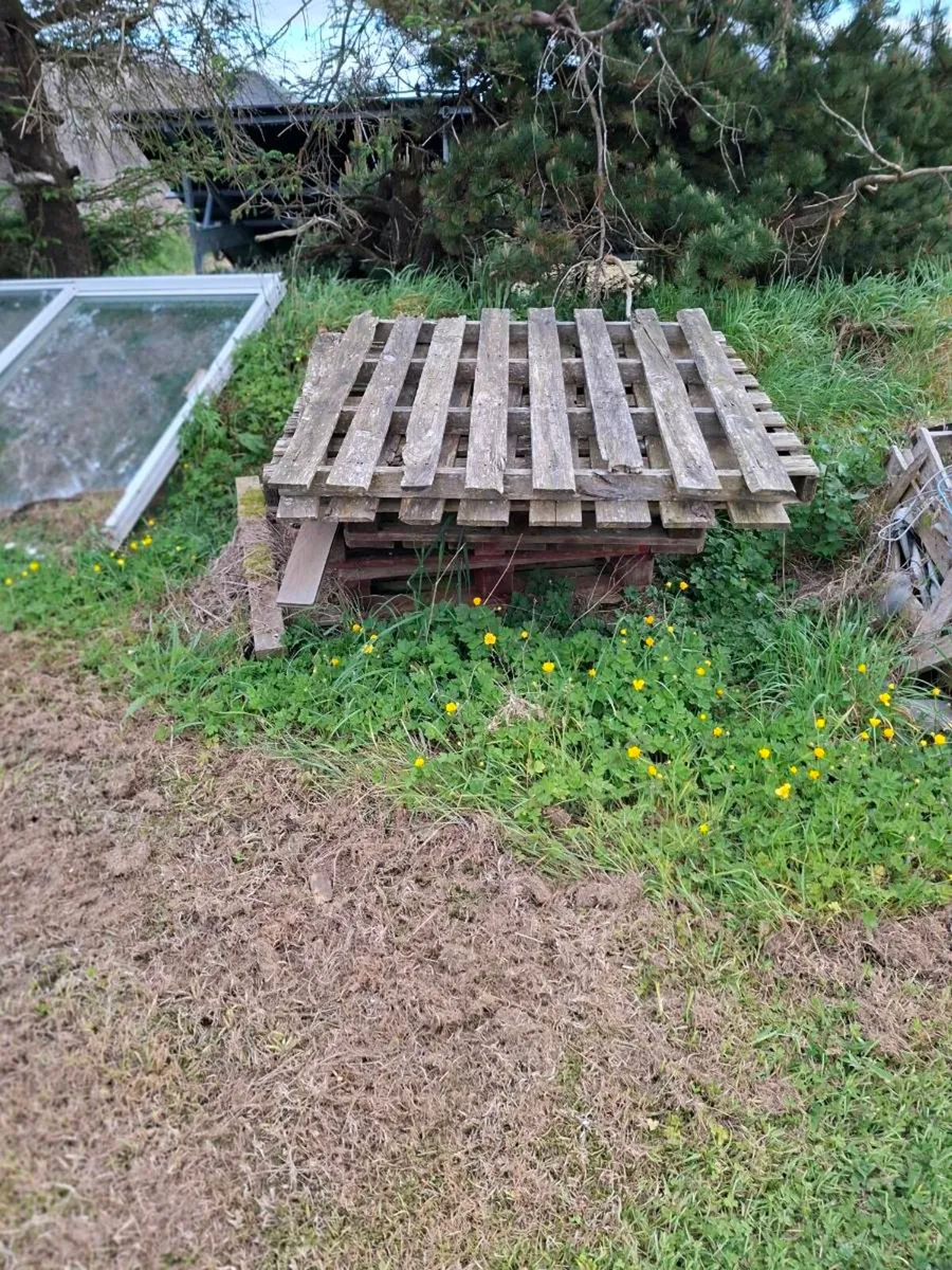 Timber - Image 4
