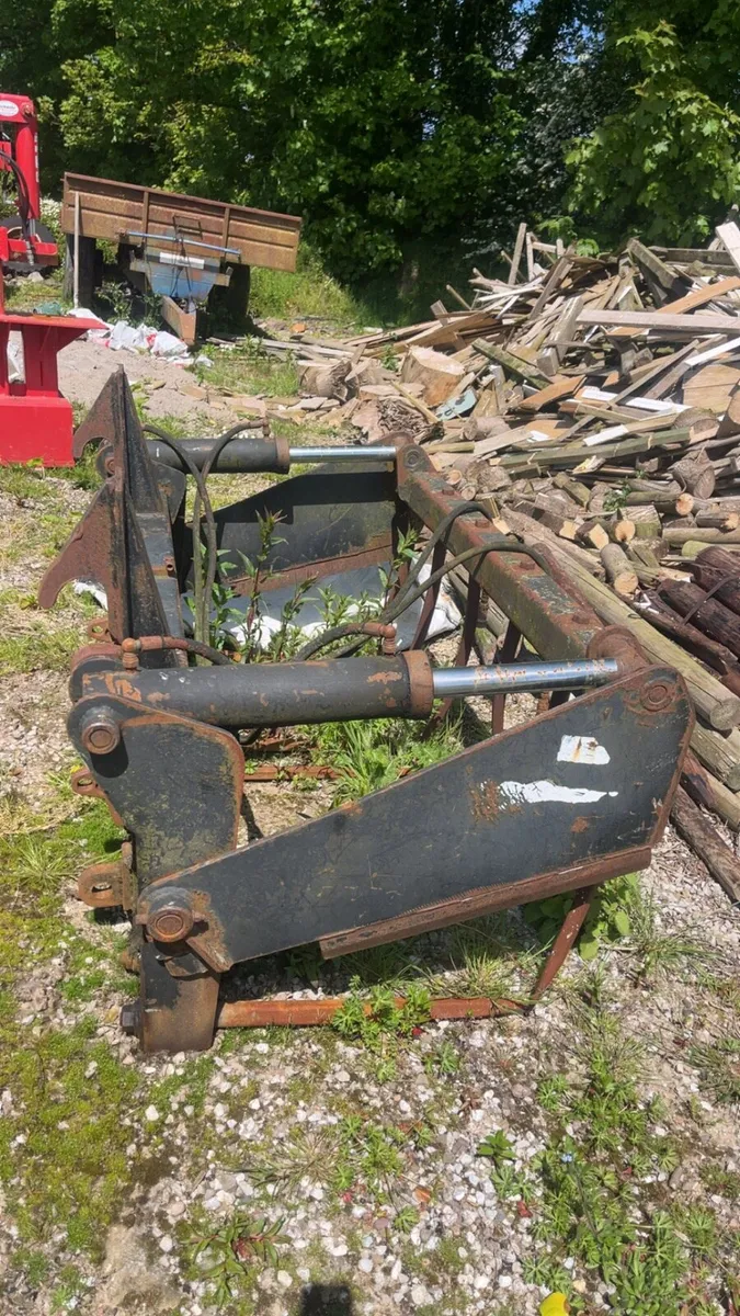 Yard clearence - Image 4