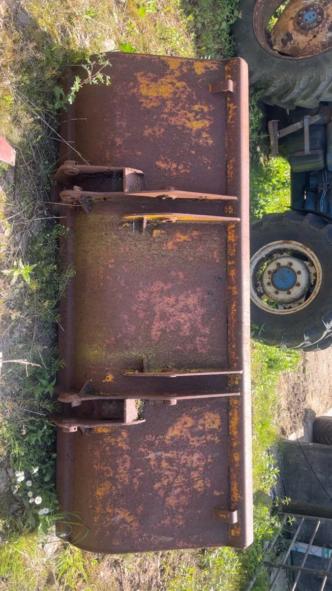 Yard clearence - Image 1