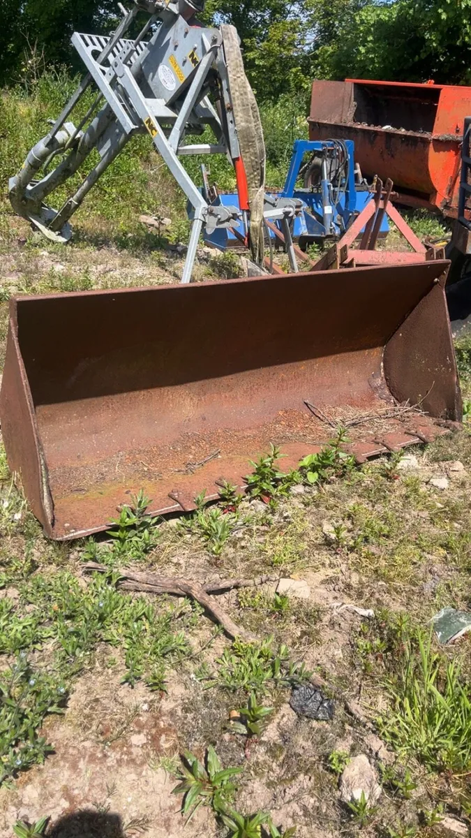 Yard clearence - Image 2