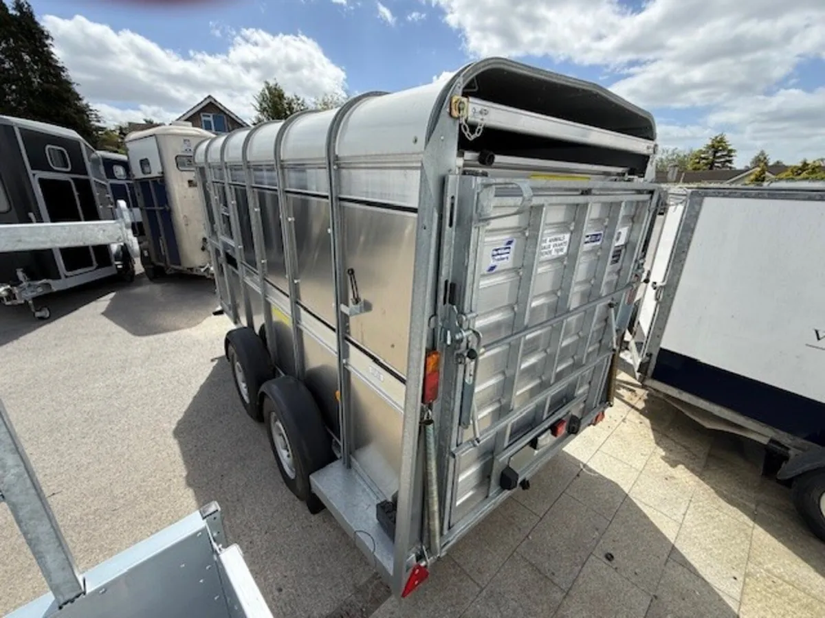 T3039619 New TA5 12' x 5' x 6' Sheep Trailer xxx - Image 3