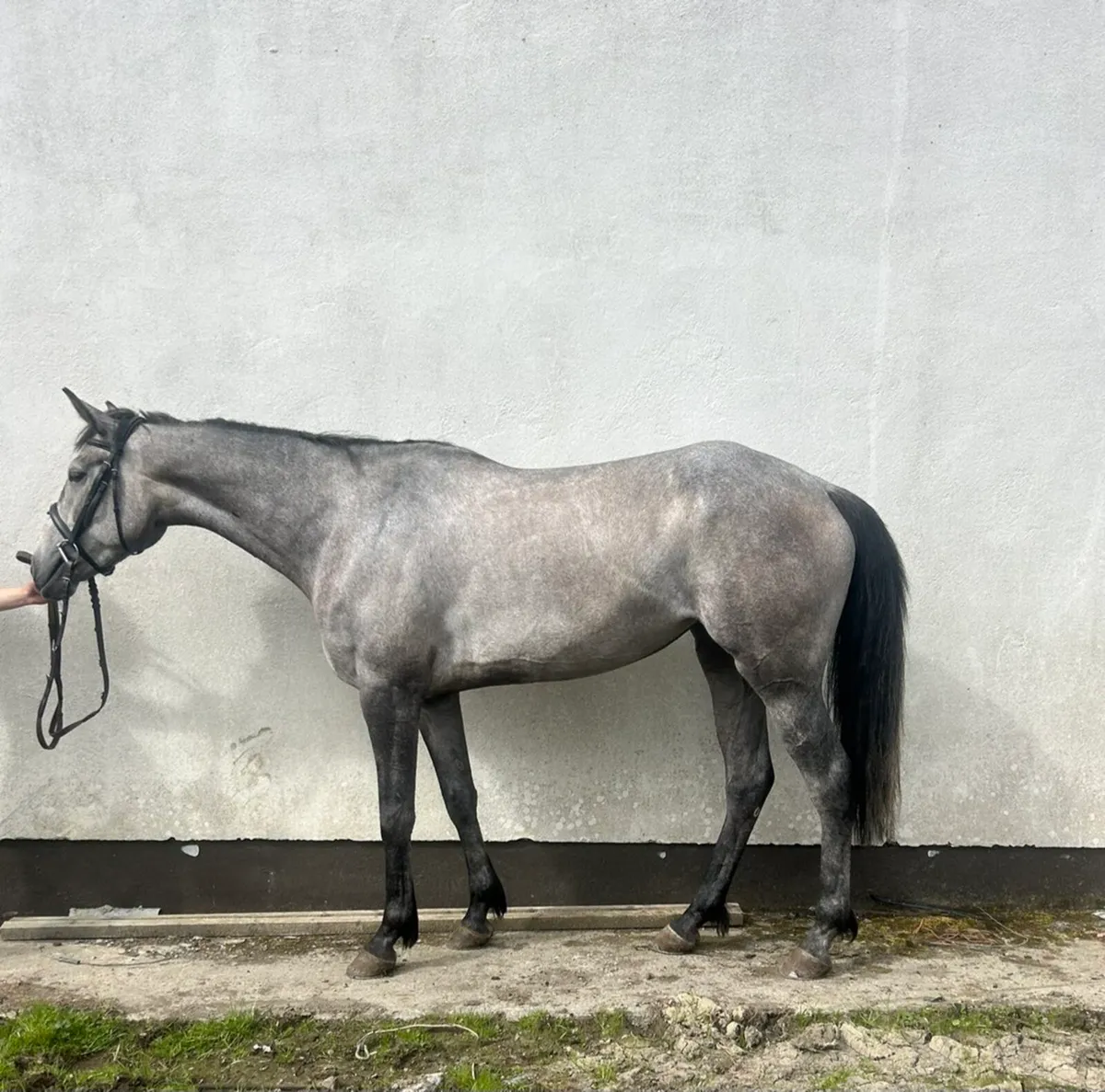 Clifden Sales Friday 15th - Image 1