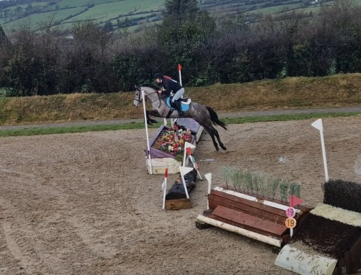Clifden Sales Friday 15th - Image 4