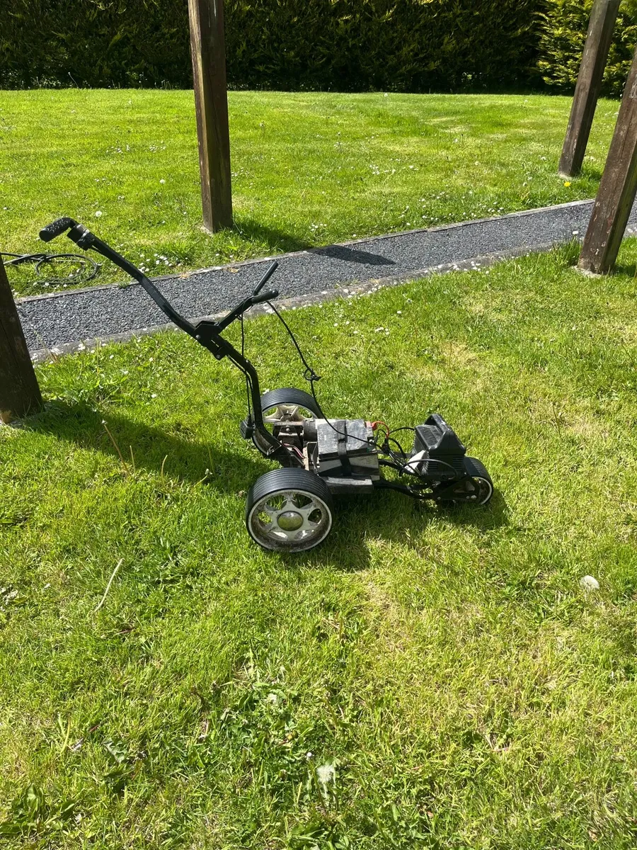 Golf buggy