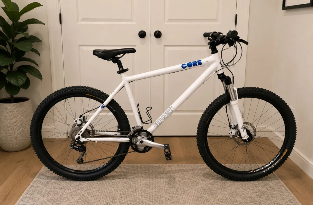 Double disc brake bicycle for sale