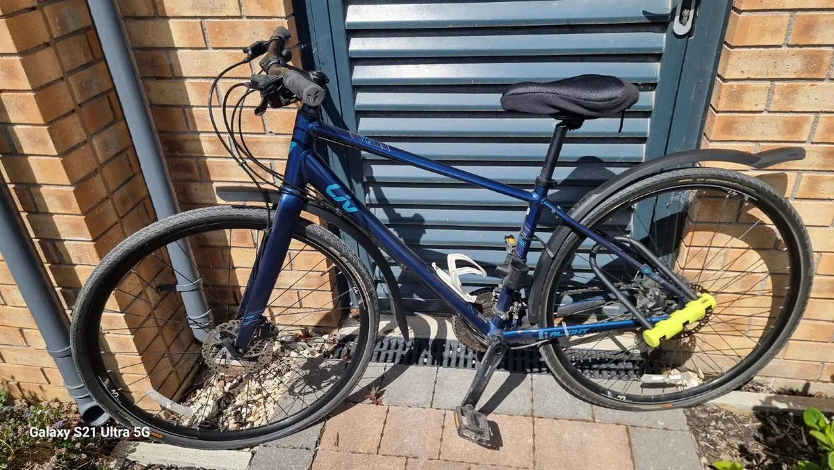 Adult casual bike
