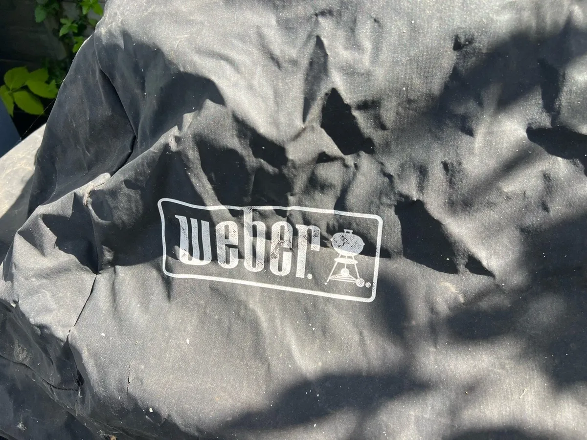 Bbq Webber - Image 4