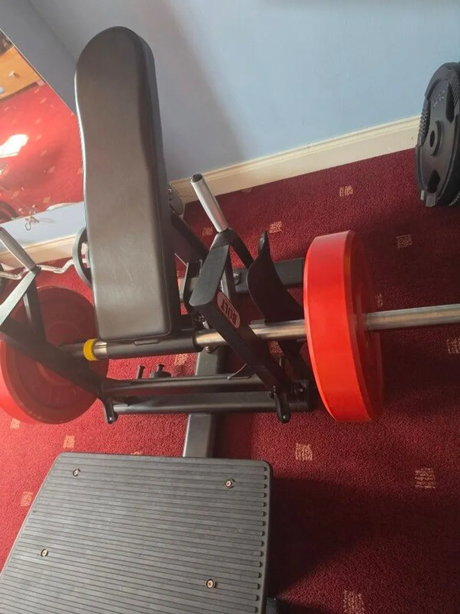 hip thrust - Image 3