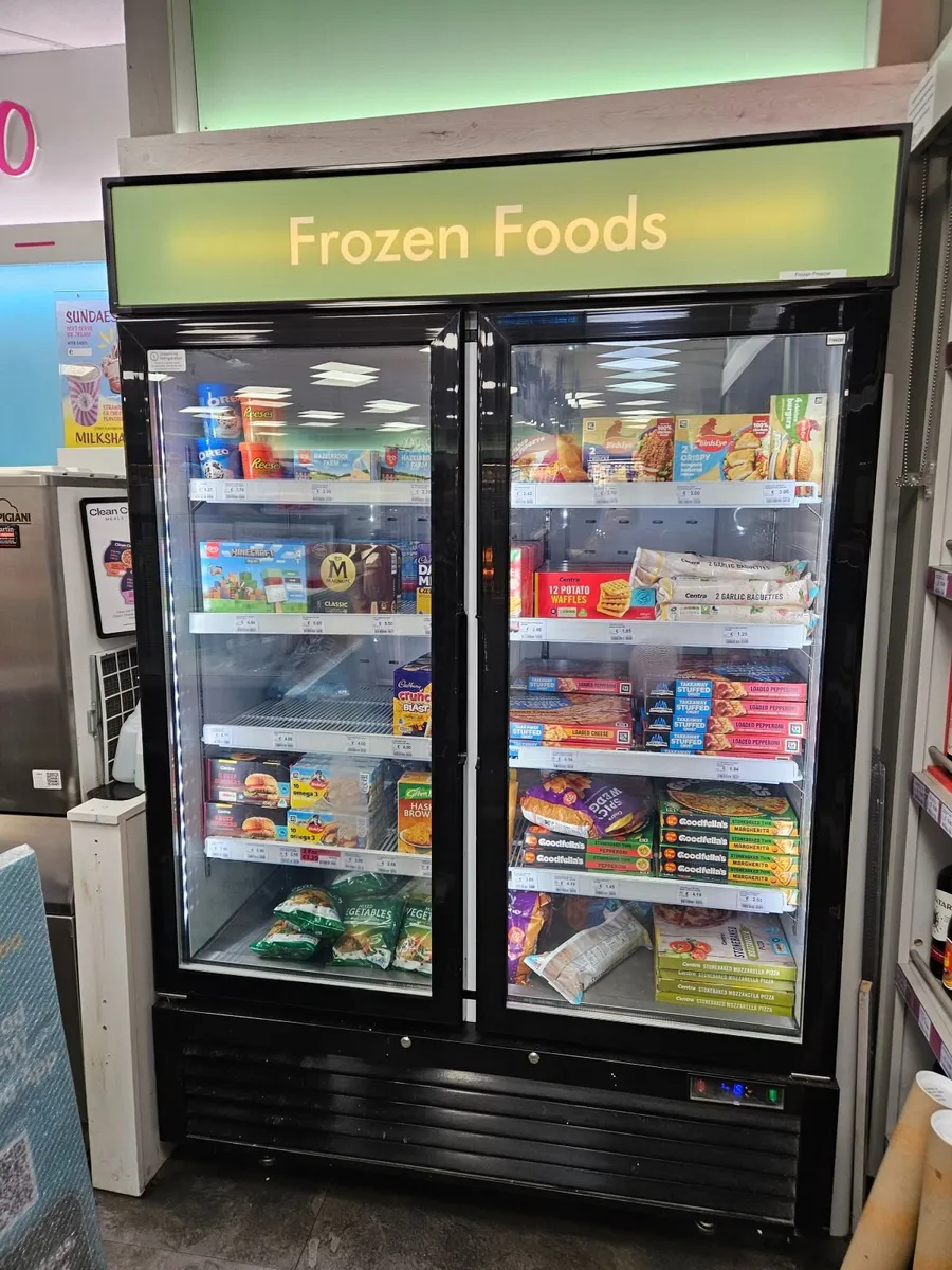 Stand up double door freezer