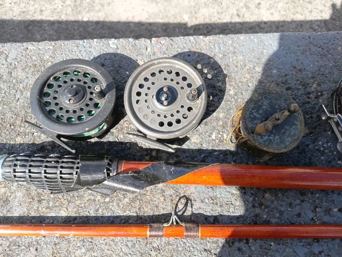 Fishing rod nd reels - Image 4