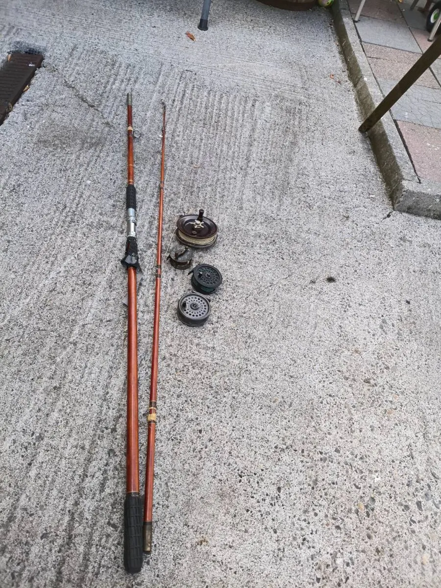 Fishing rod nd reels - Image 2