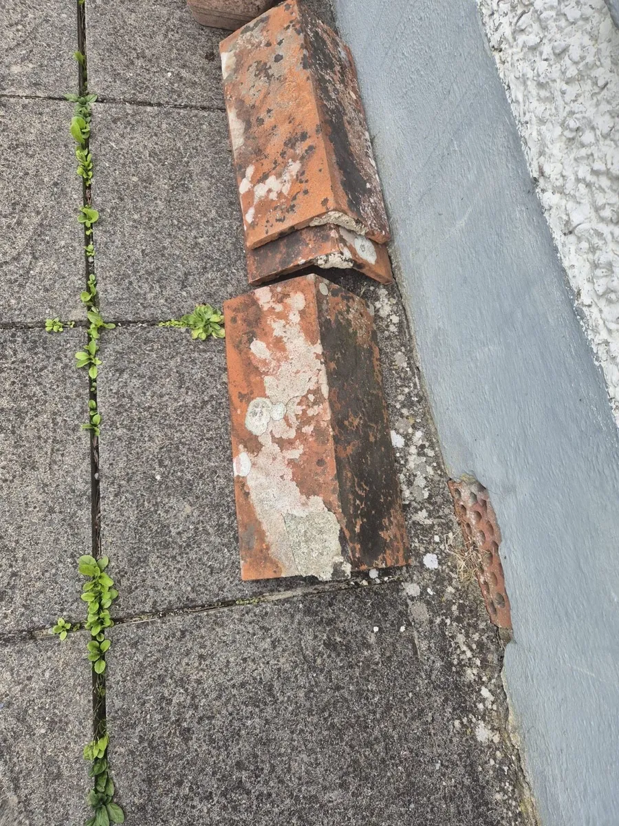 Reclaimed ridges - Image 4