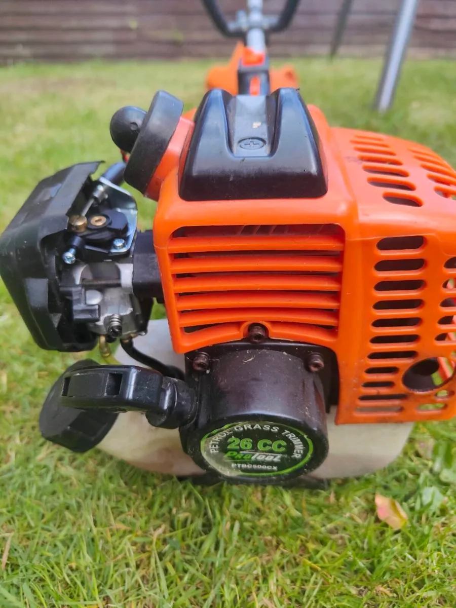Strimmer - Image 2
