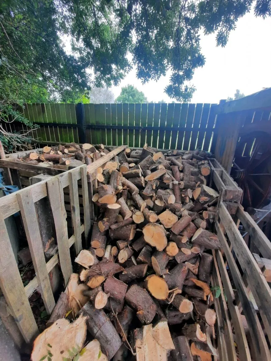 Seasoned Firewood - Image 1