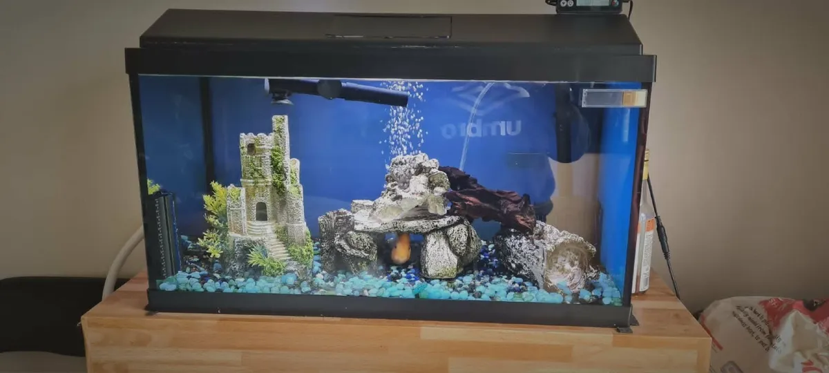 Aqua Dreams 60L fish tank - Image 1