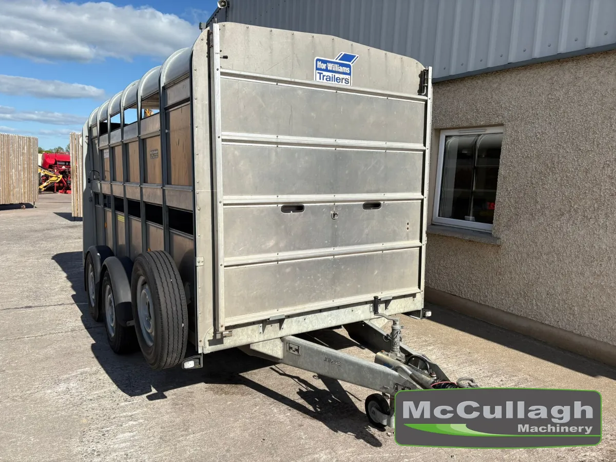 Used Ifor Williams TA510 12ft Cattle Trailer - Image 2