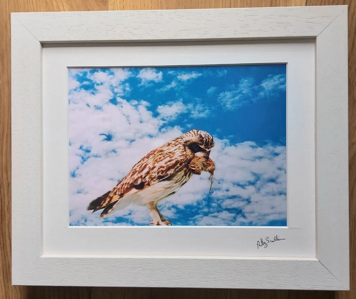Have your favourite photo framed - Image 4