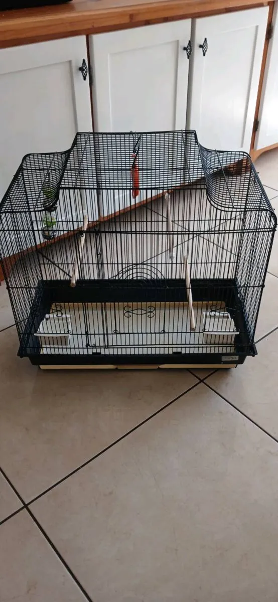 Bird cage€45 - Image 2