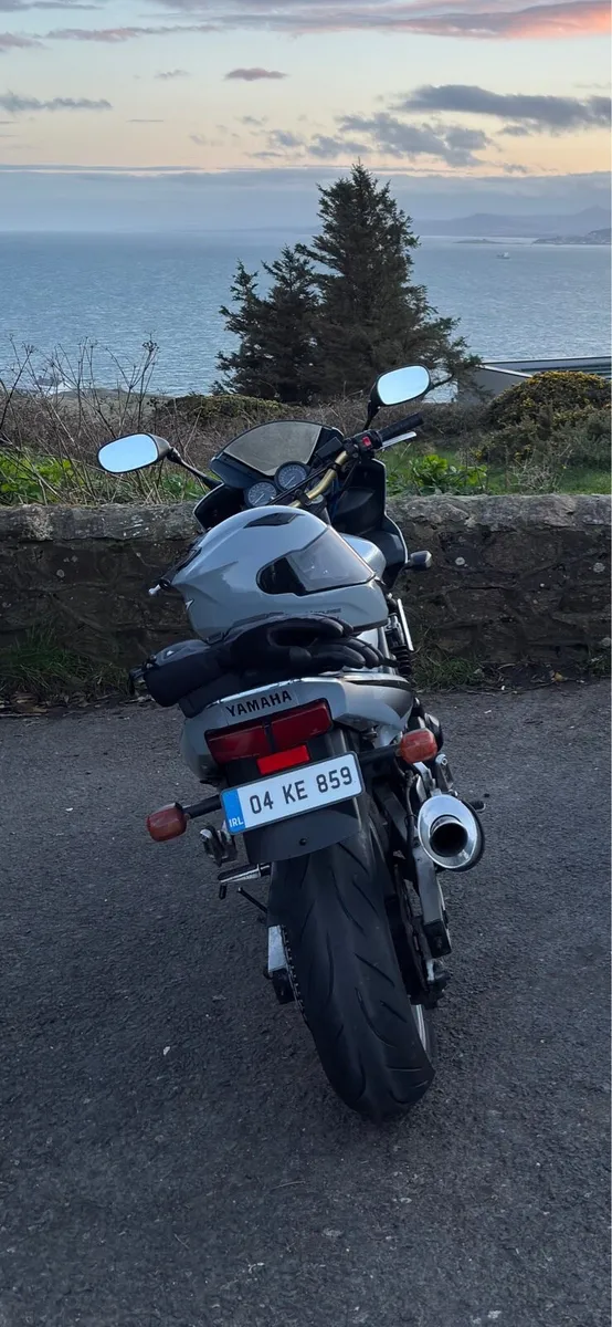 Yamaha FZS600 2004 Foxeye - Image 2