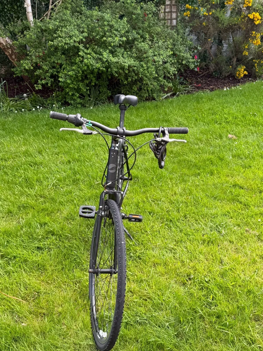 Giant Bicycle - Image 3