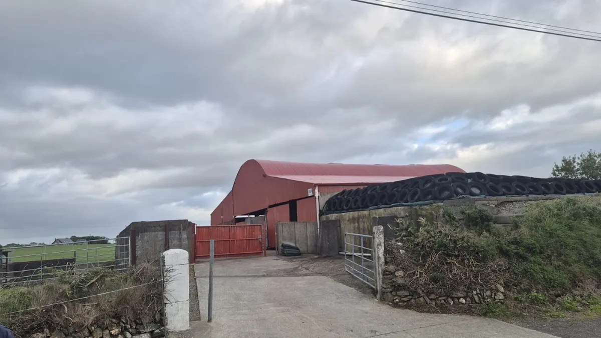 Cork Farm Painters & Shed Repairs - Image 2