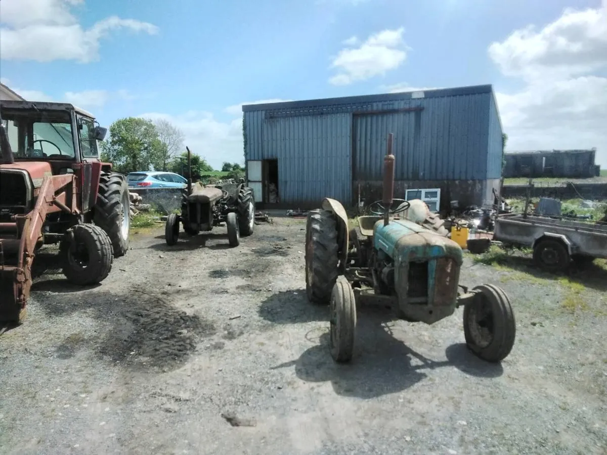 Massey Ferguson 590.135.20.dexta - Image 1