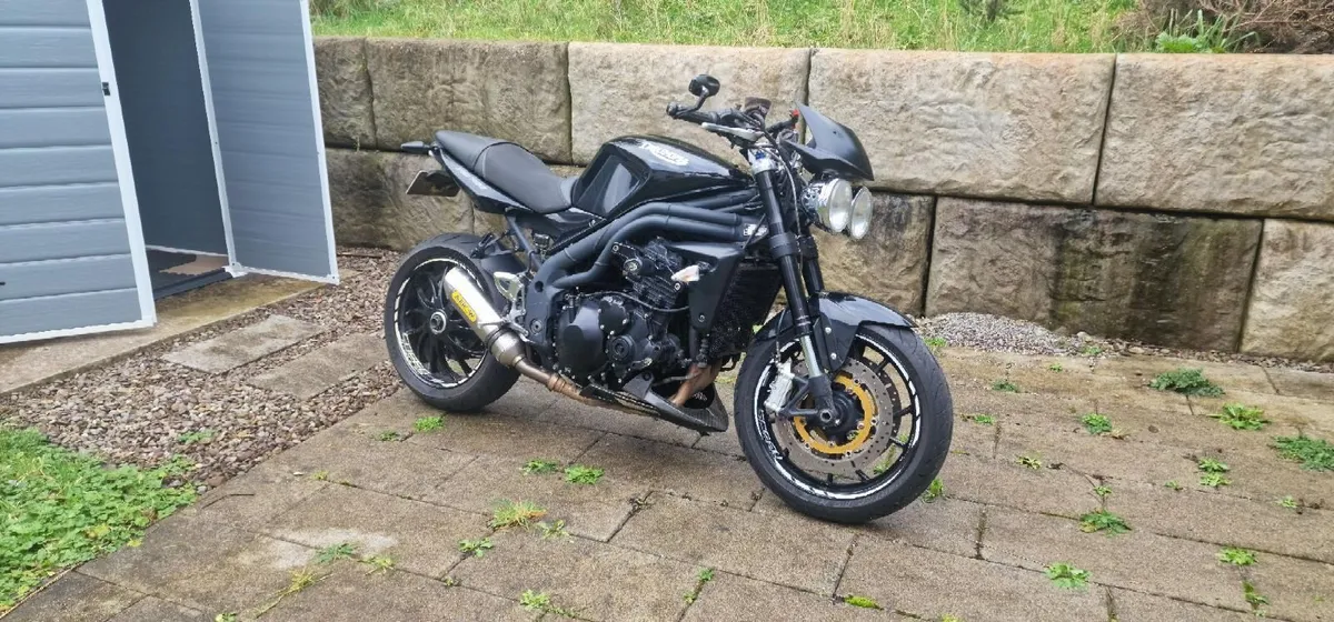 Triumph Other 2009 - Image 2