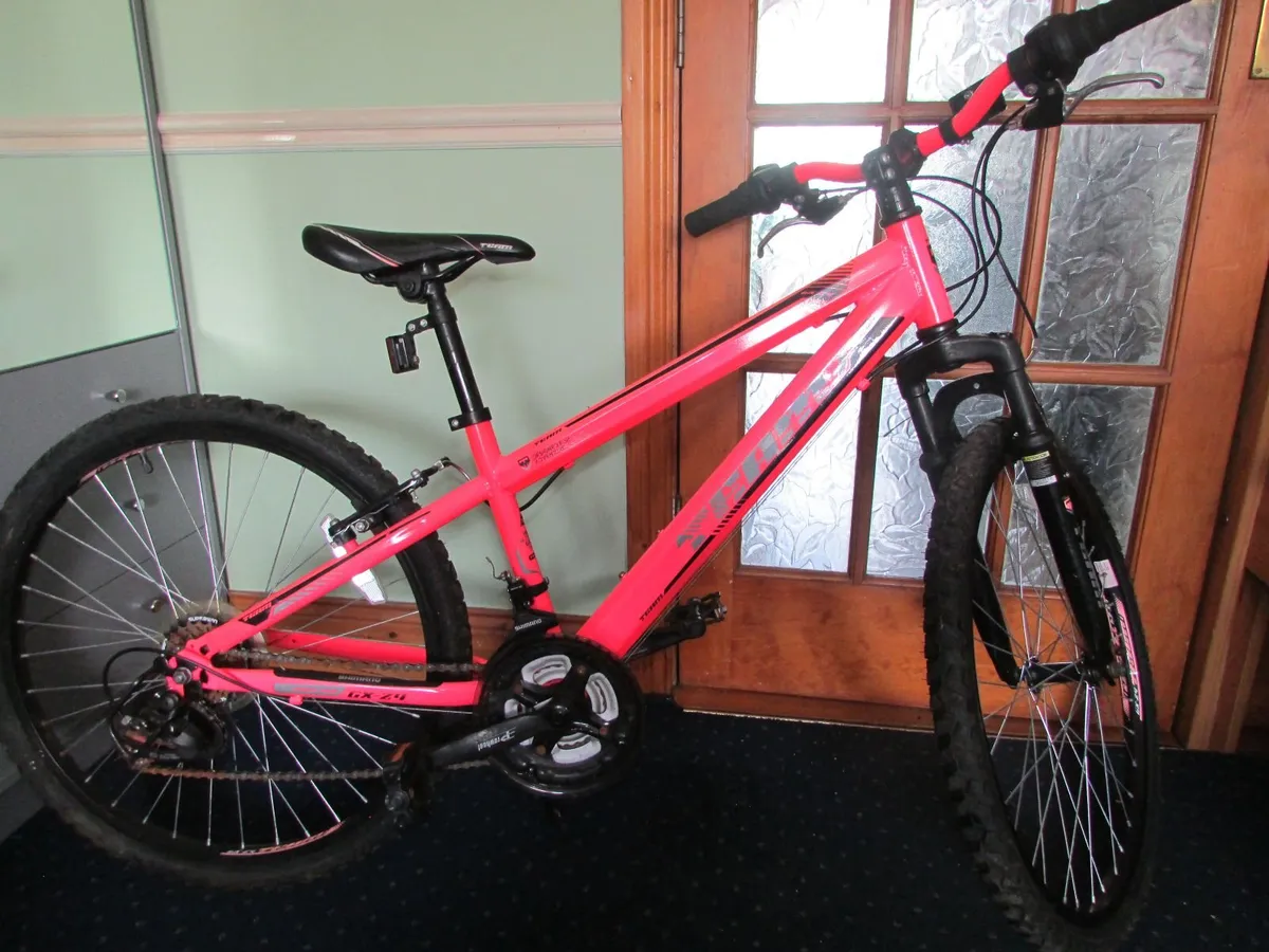 Kids mountain bike - Image 1