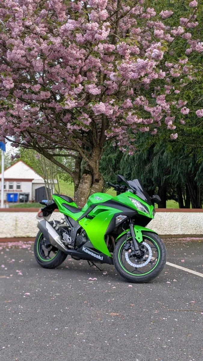 Kawasaki Ninja 300 - Image 1