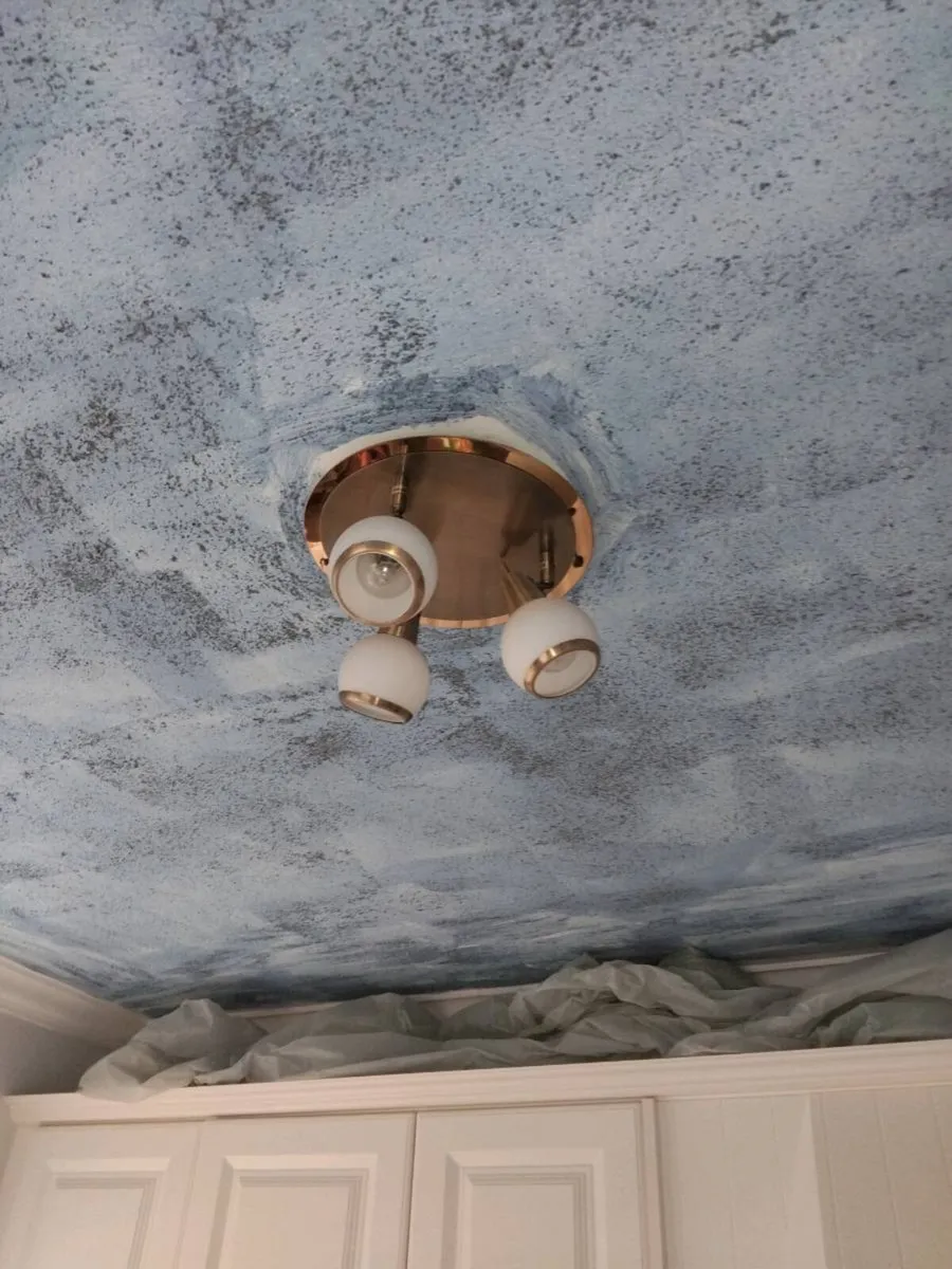 Light fitting for sale - Image 4