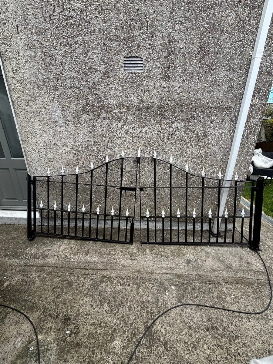 Double gates for house entrance - Image 1
