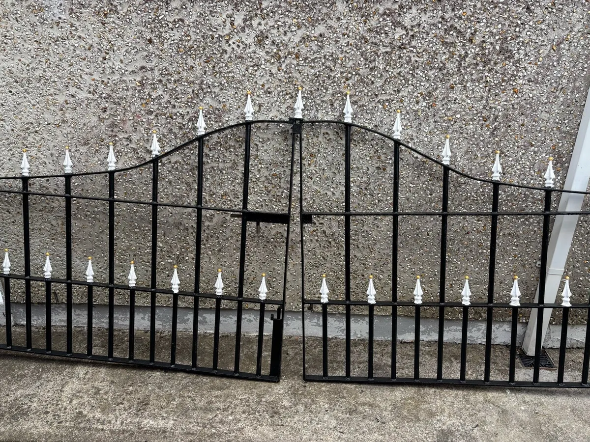 Double gates for house entrance - Image 2