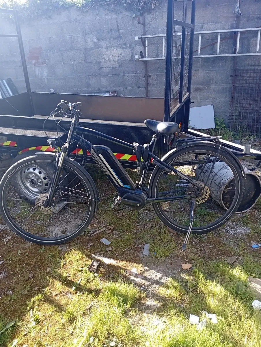 Electric bike - Image 1