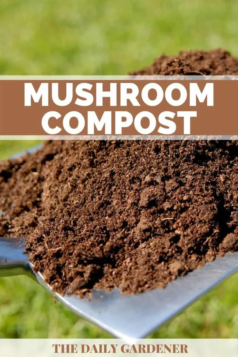 Spent Mushroom Compost - Image 1