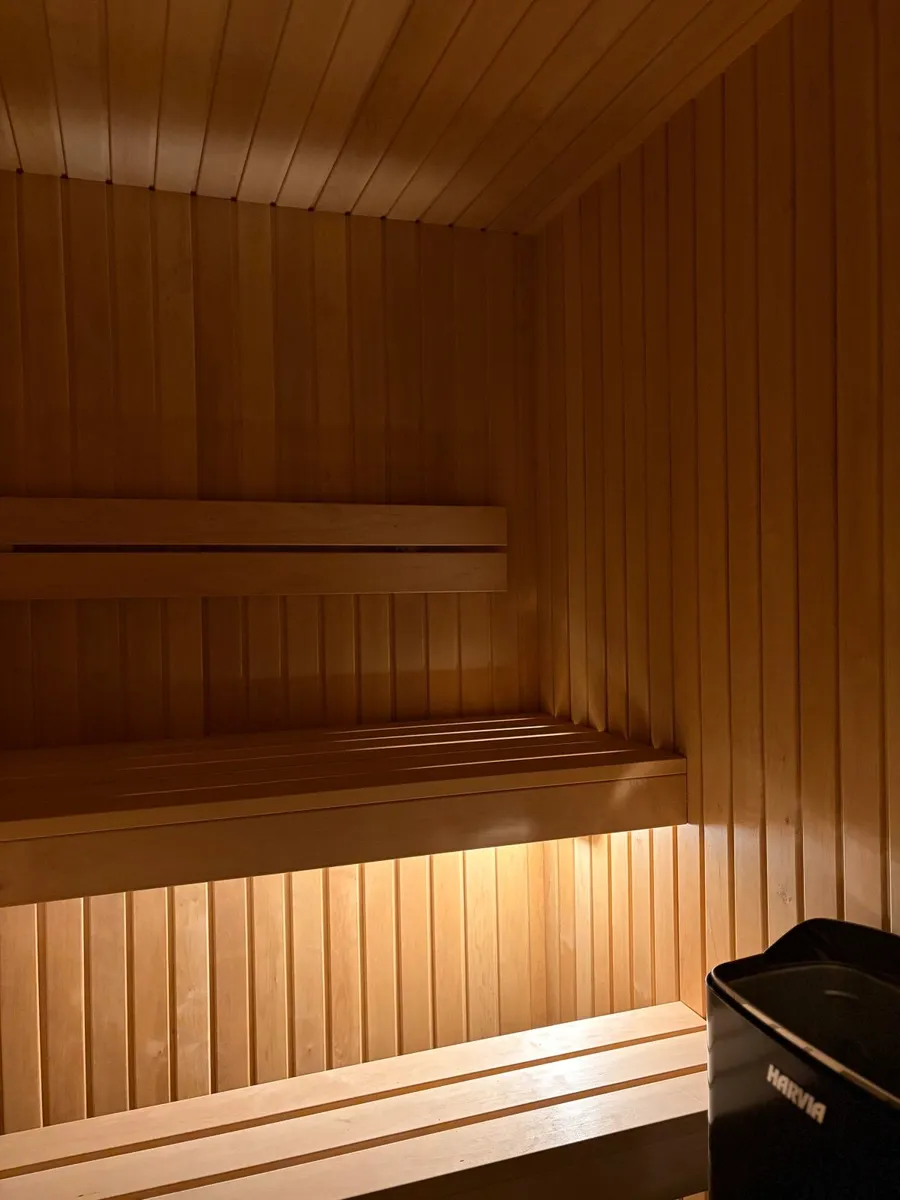 Bespoke Sauna - Image 4