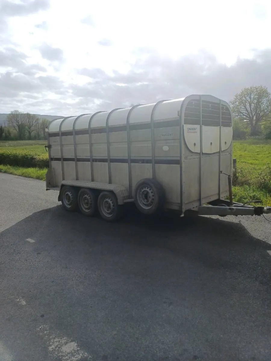 Nugent 14ft cattle trailer - Image 2