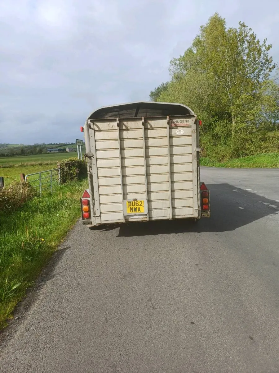 Nugent 14ft cattle trailer - Image 3