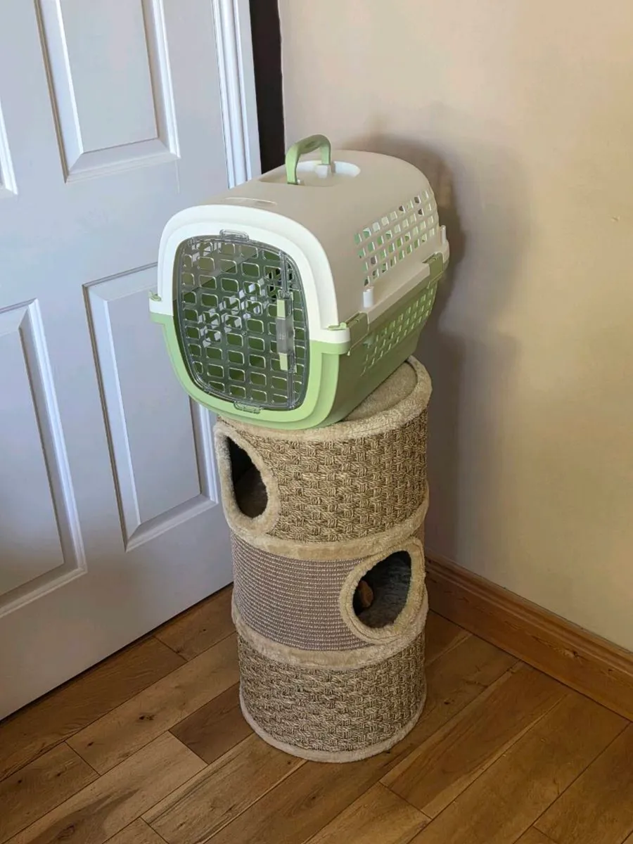 Cat tower,kitty curlz and transport box new - Image 1