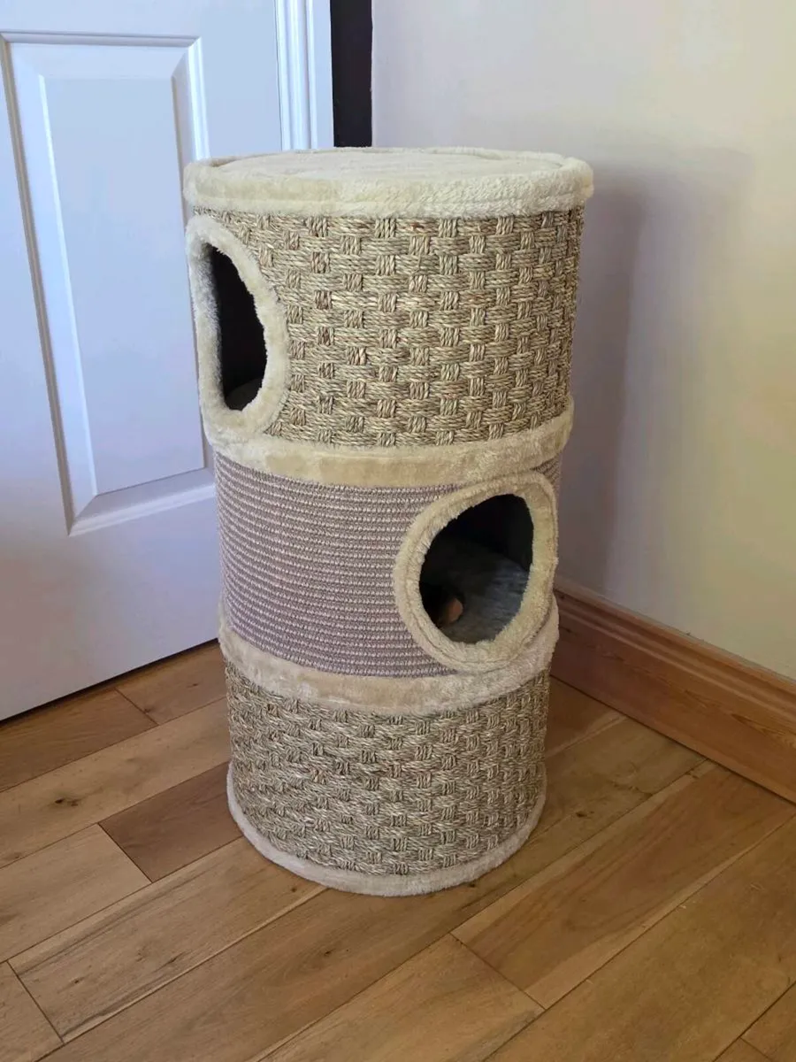 Cat tower,kitty curlz and transport box new - Image 3