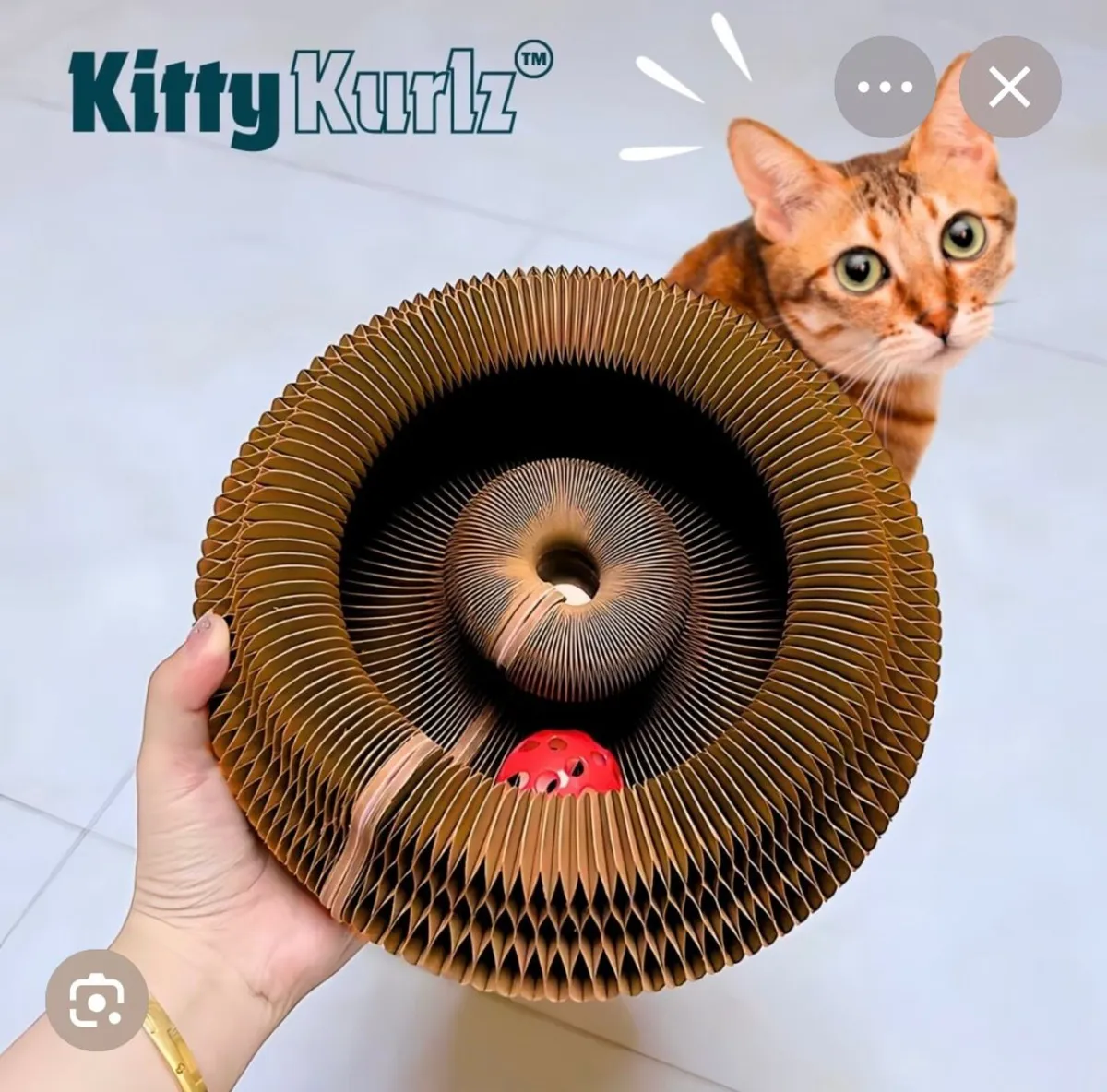 Cat tower,kitty curlz and transport box new - Image 4
