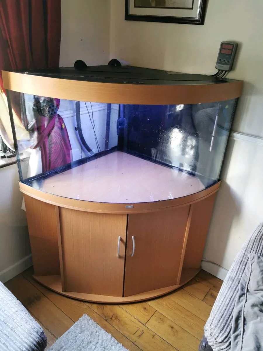 Aquarium - Image 3