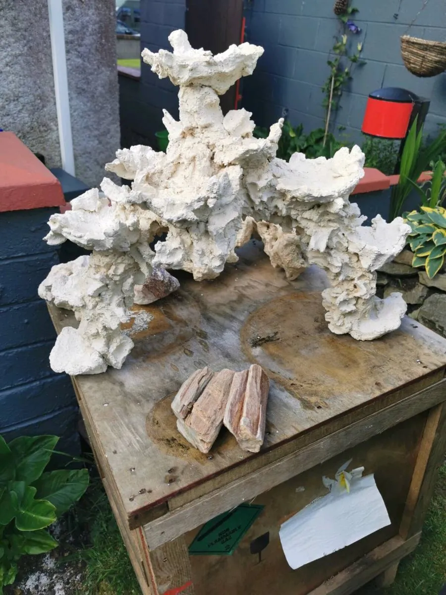 Aquarium - Image 4