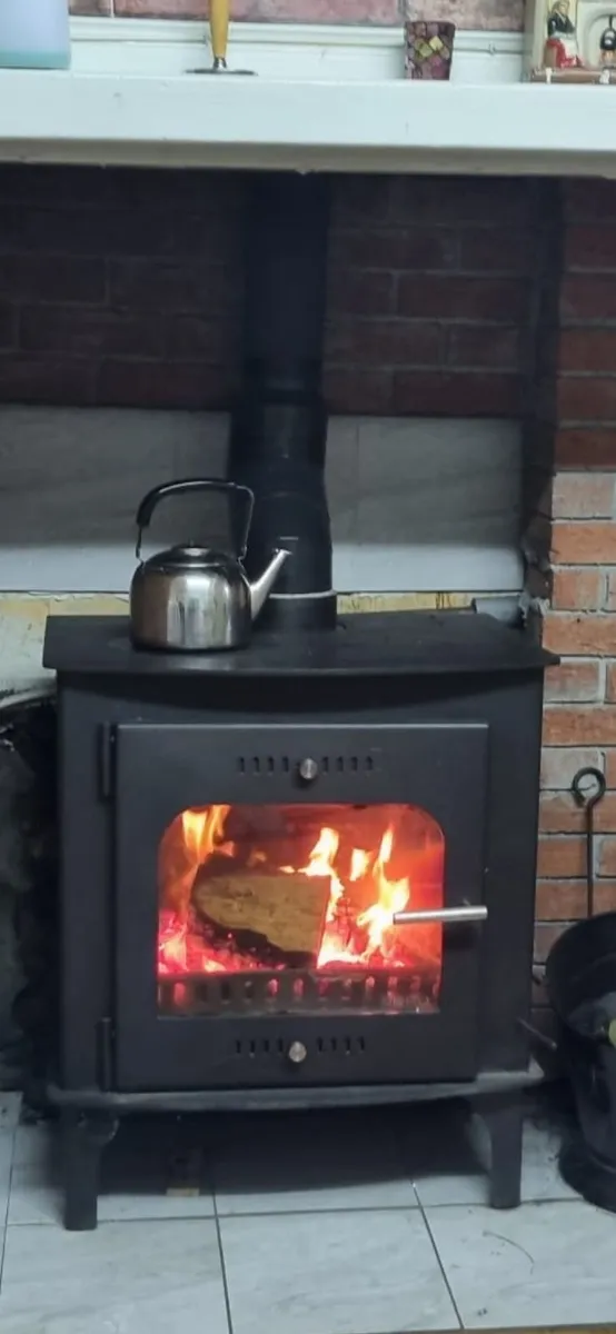 Stove Wood & Coal burning Solid fuel - Image 1