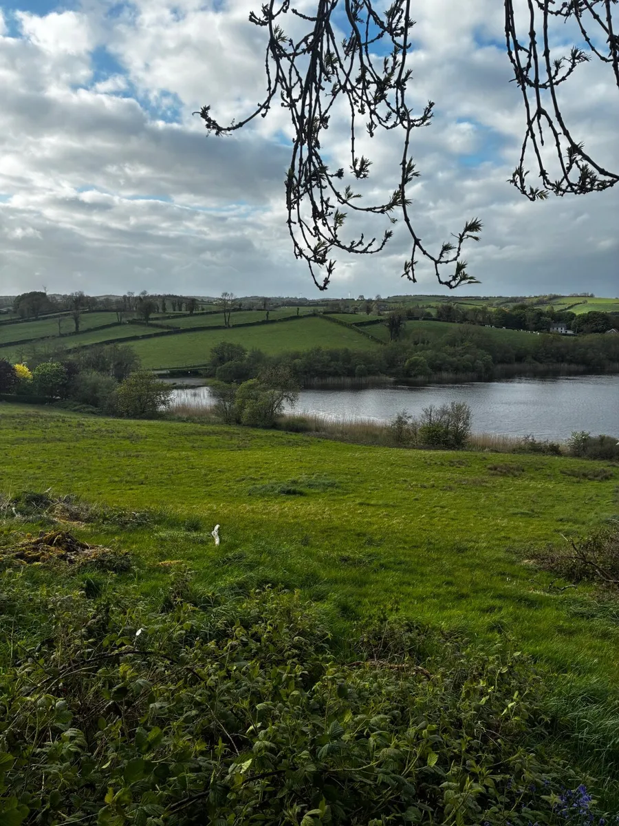 Land with private access  to lake - Image 4