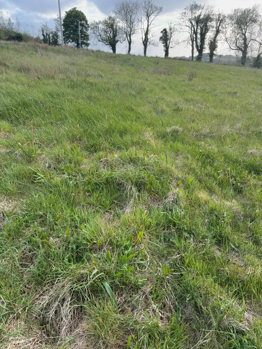 Land with private access  to lake - Image 3