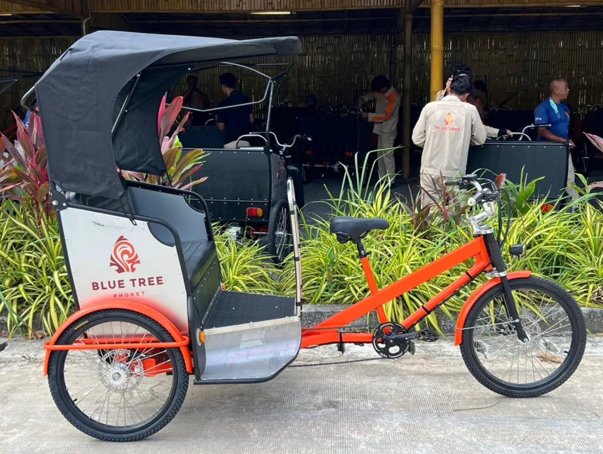 Brand New Rickshaw - 3 Passenger Seater - Image 2