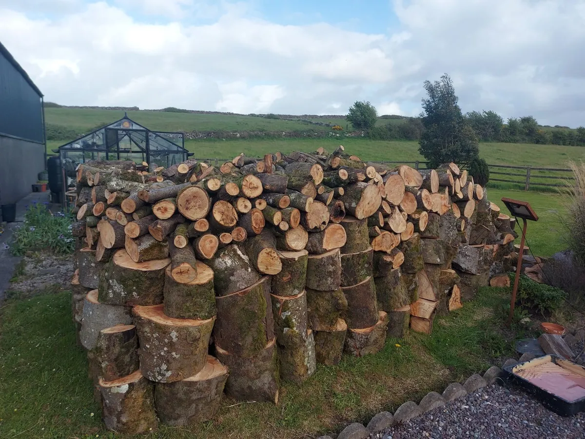 Firewood - Image 2
