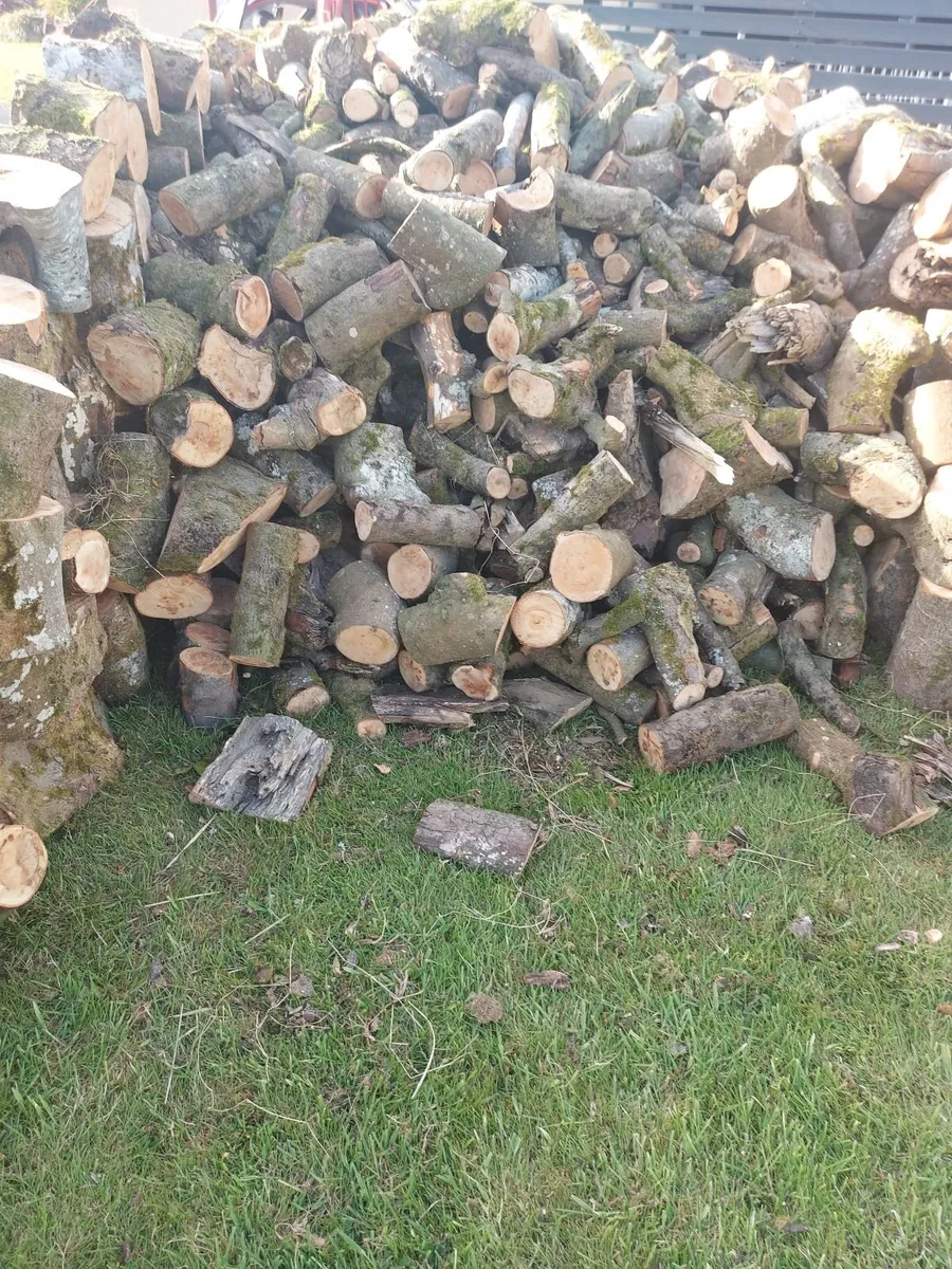 Firewood - Image 3