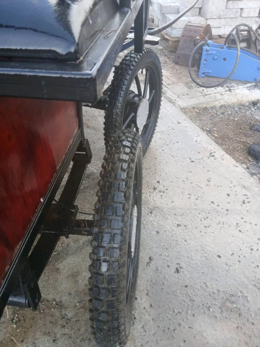 Carriage - Image 4