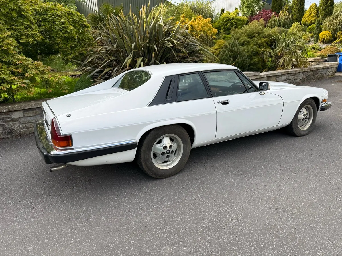 Jaguar xjs - Image 3
